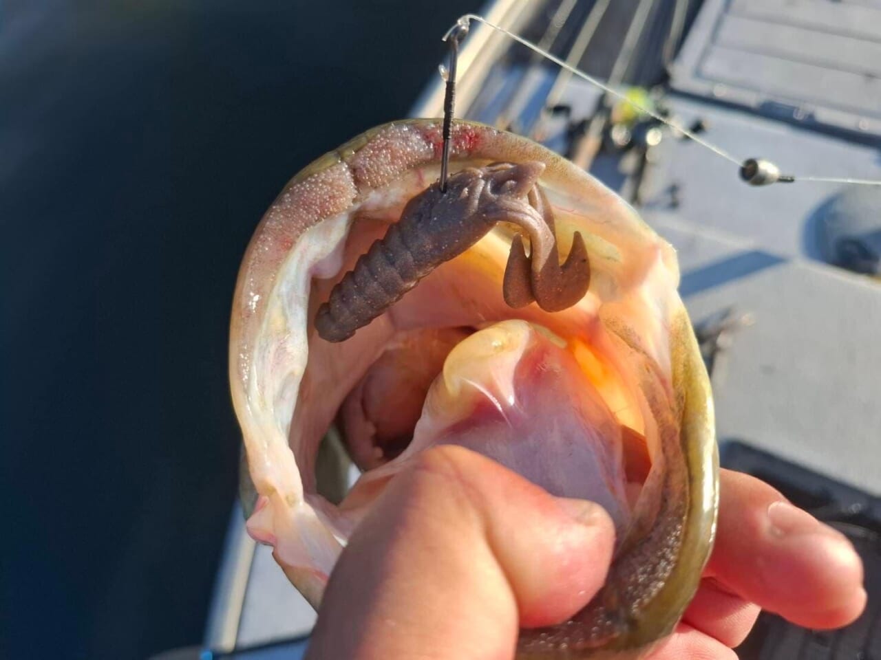 ｜味と臭いのマックスセントボディにパタパタハイアピールが組み合わさった！