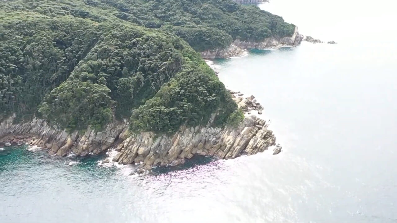 |【プロvs一般人アングラー】秋に“デカイカ出現”!? 湯川マサタカの『セフィアチャレンジ in 徳島県』。アウェイの地を攻略なるか…。