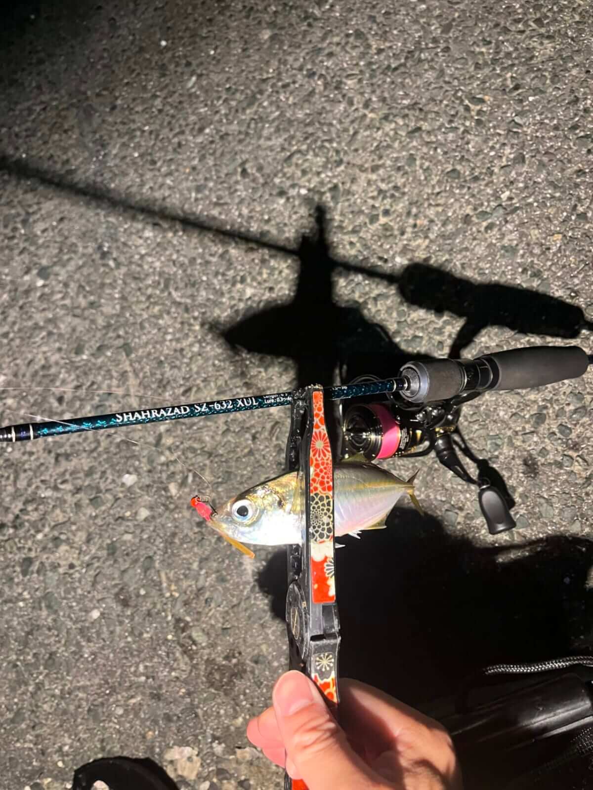 ｜手軽にフラっと行けて、奥深い。食べても美味しいアジングの魅力とは？ 使用タックルも解説。