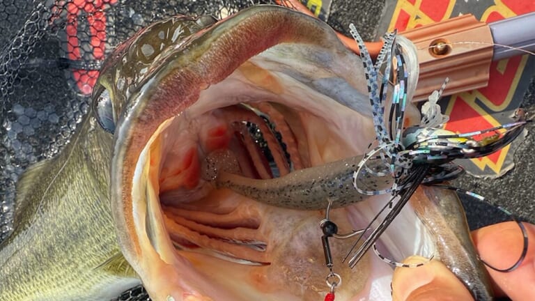 寒気の影響でゲームチェンジ、スイミングジグの季節に。この釣りで必ず用意しておきたいアイテムがコチラ！