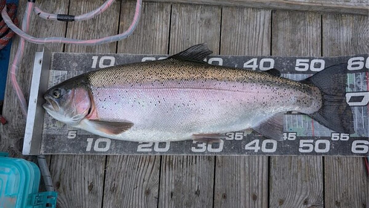 ｜バスを狙っていたらまさかの自己記録フィッシュ!?　榛名湖でこんなサイズが…。【大津清彰のバス釣り真相解明】