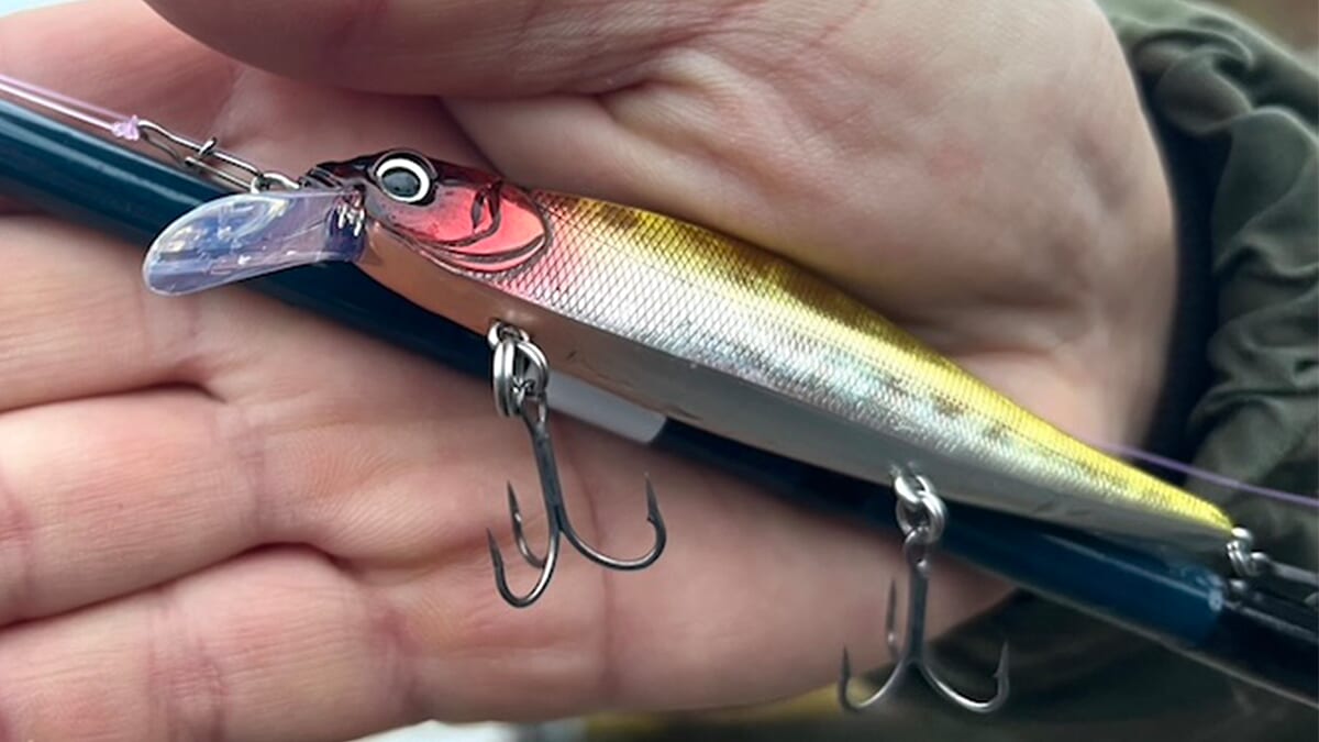 ｜冷たい雨で水温6度台でもバスは釣れる！ハードベイトの達人が教える『フランジャー』のチューニング方法【鈴木翔の”SHOWUP!!”】