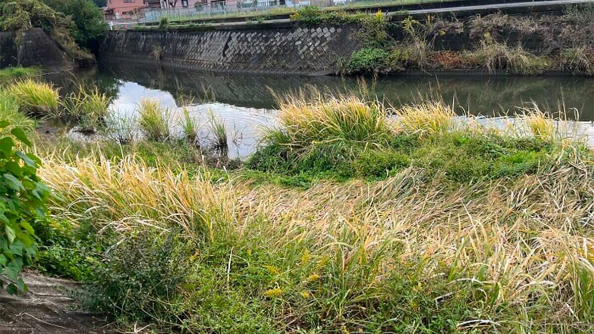 ｜遠賀川を新規開拓！フランジャーのジャークに食いついてきた魚はまさかの…。「シーバスでもオススメですね」
