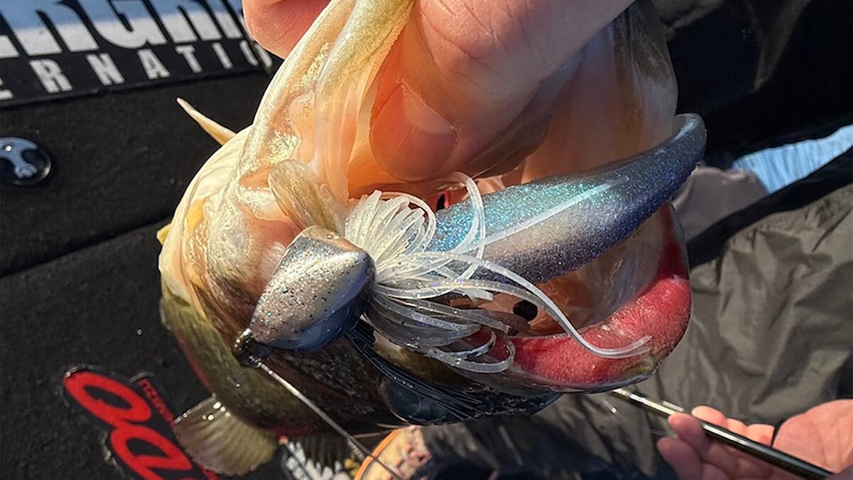 ｜12月にしては暖かい、暖冬？ いつもなら早春に効くスイムジグでビッグワン炸裂中！【大西健太のOKレポート】