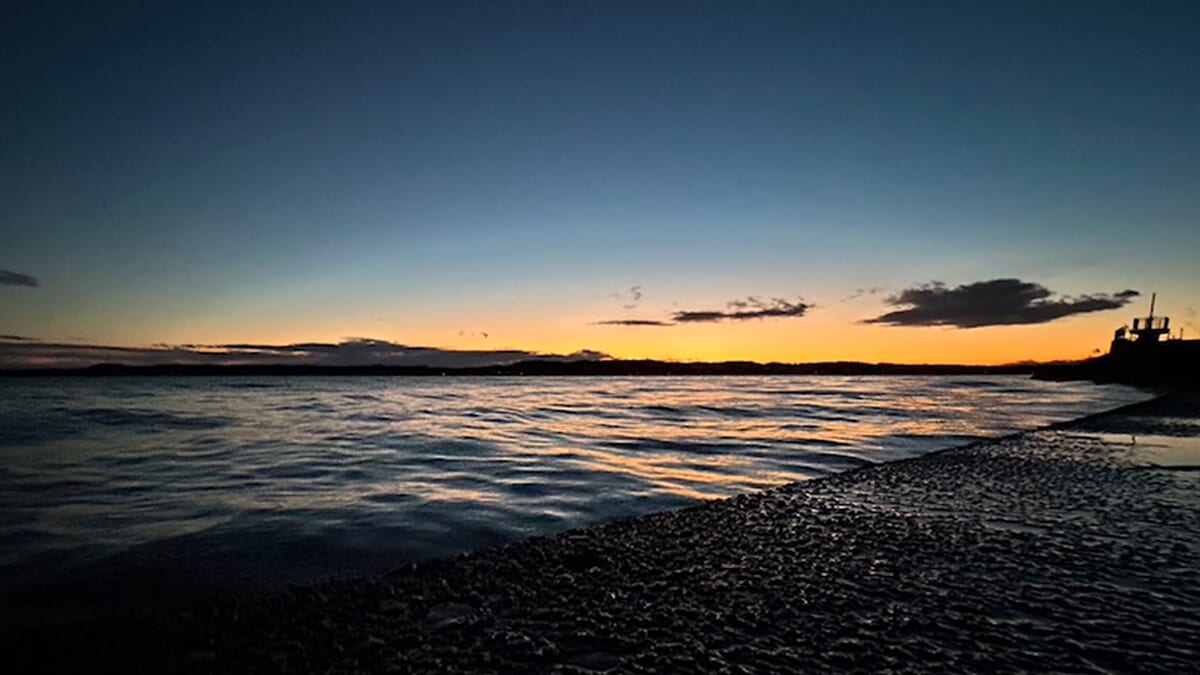 ｜カスミ水系は難易度MAX、攻略の鍵は？釣り納めで良型をキャッチしたテクニックを公開【週刊ササカツ無双】