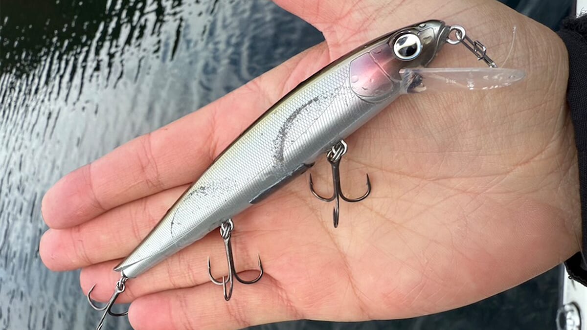 |「やっぱりシャローには夢がある」寒くなっても浅場のゲームはやめられない!キツかったらスローダウンすればOK。使用ルアーはこのタイプ!