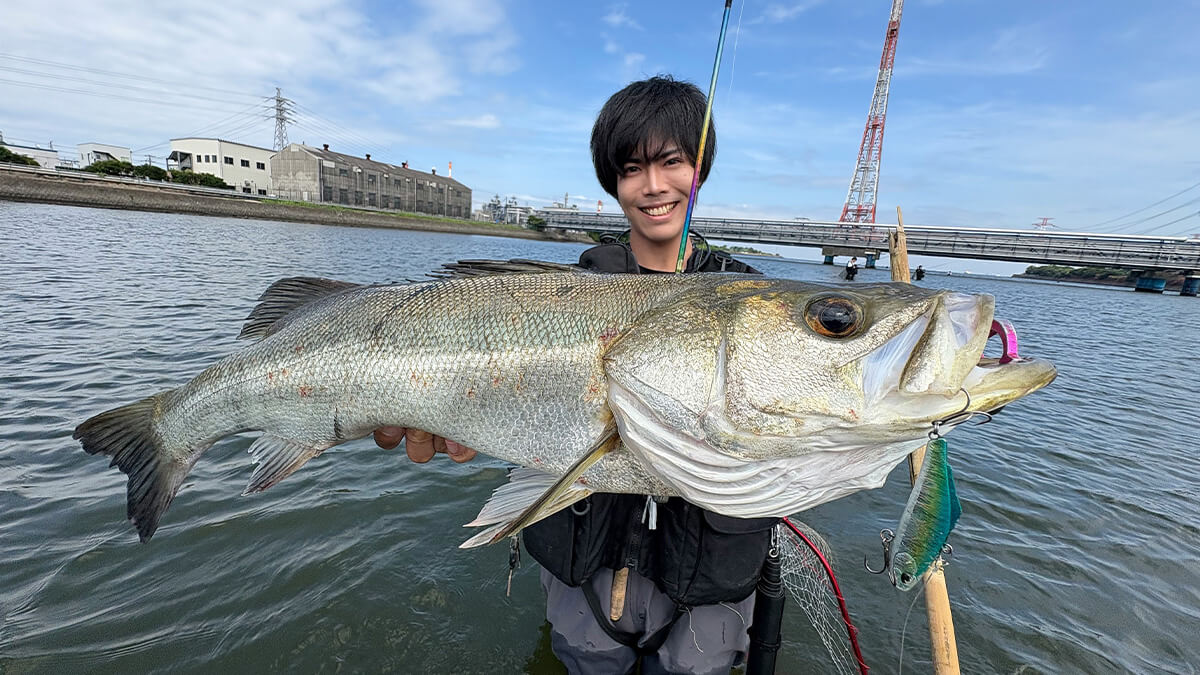 ｜2025年の東京湾を振り返りながらシーズナルパターンを解説。オススメルアーと釣り方は？「大型のシーバスにも出会えました」