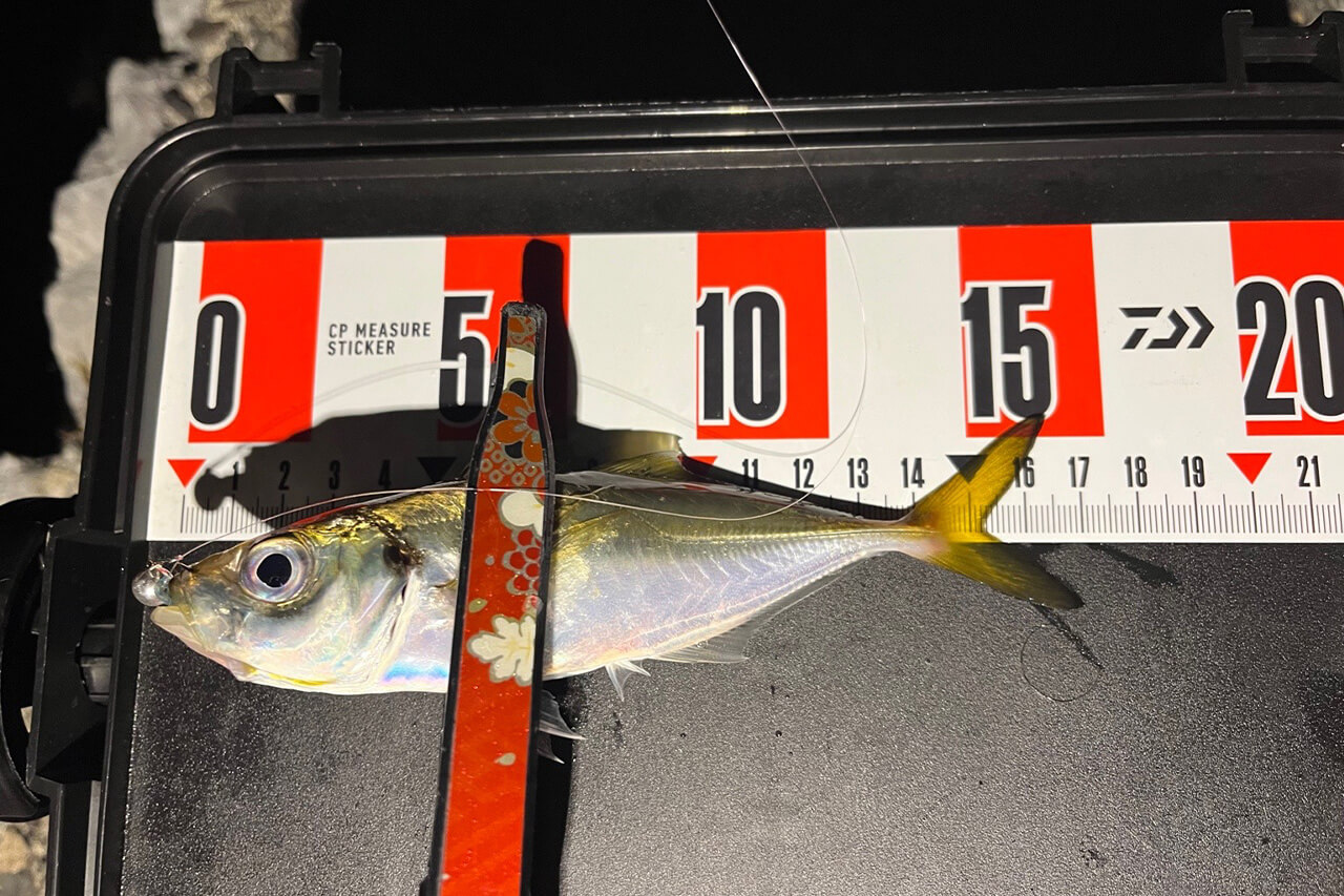 ｜手軽にフラっと行けて、奥深い。食べても美味しいアジングの魅力とは？ 使用タックルも解説。