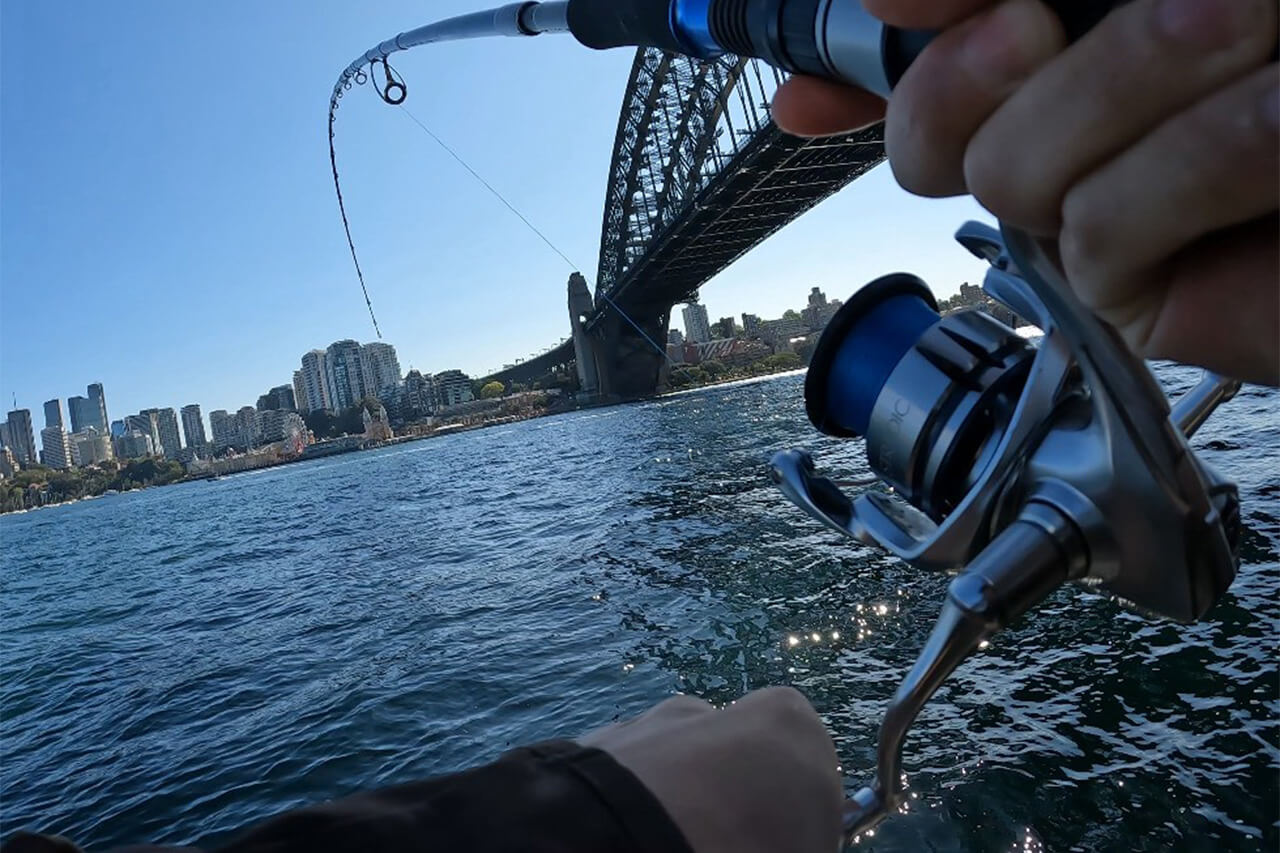 ｜「実は激アツです」オペラハウスの前で釣りをしてみたら…。カツオからサメまで釣れるってホント!?