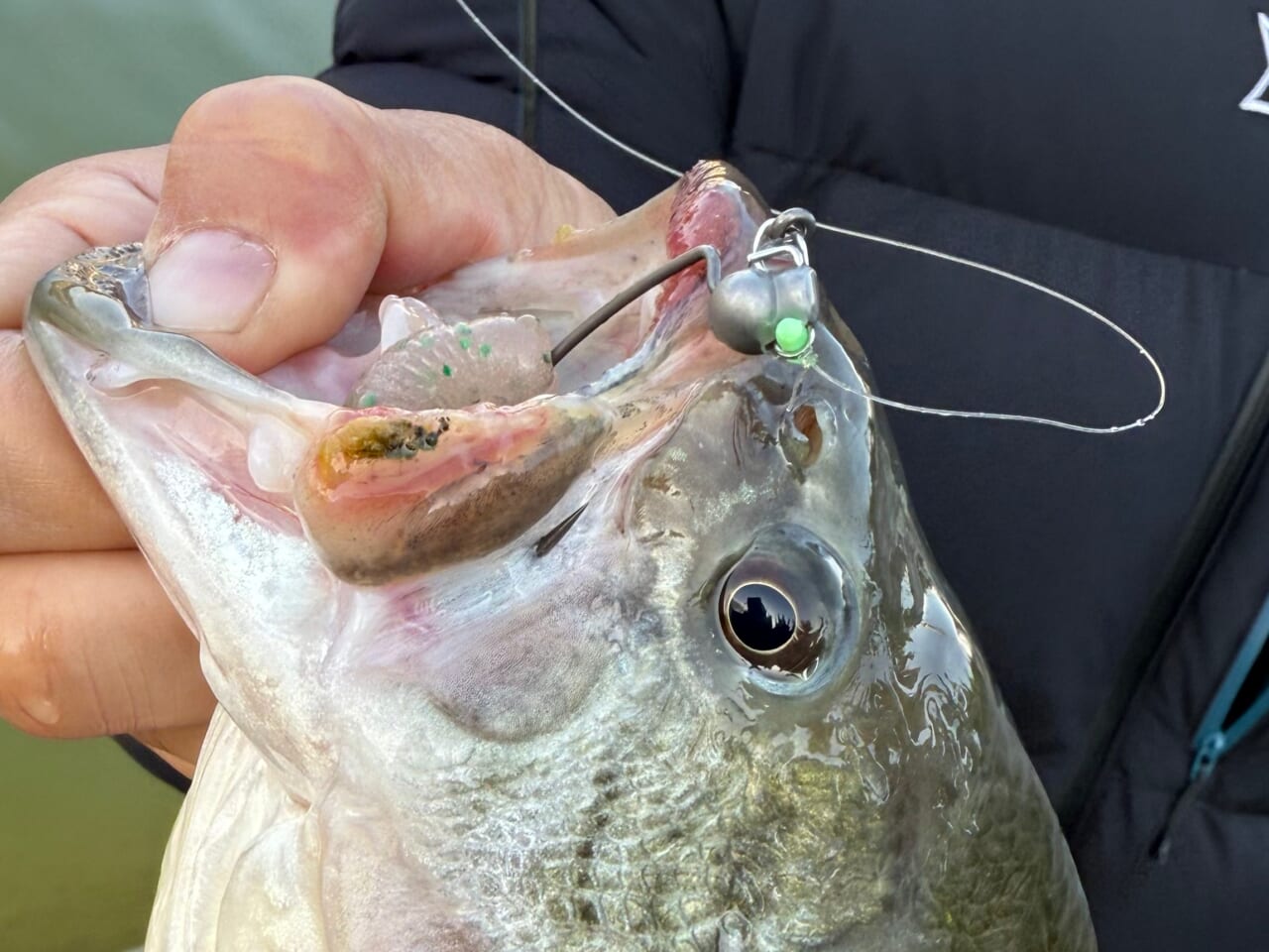 ｜【今江プロも大注目！】BKKの話題作『ファストヘッド』を使いこなすための超解説!!