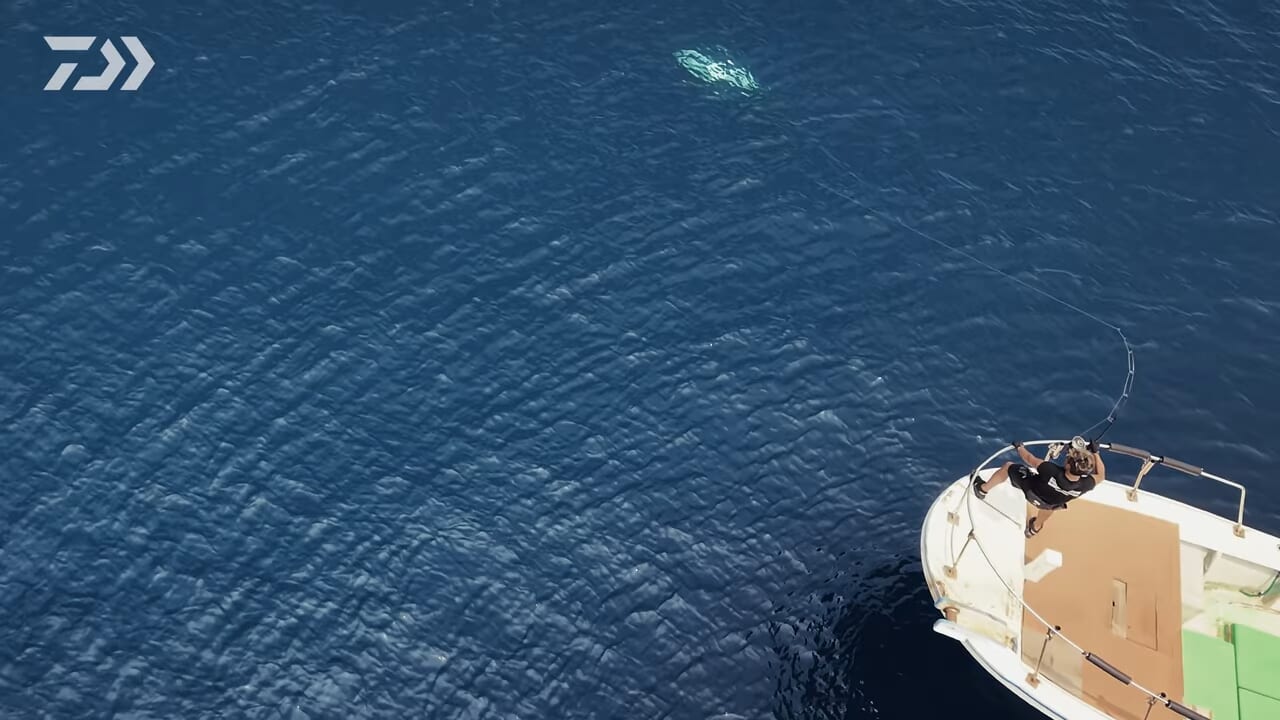 ｜DAIWAの『最強リール』に待望の30000番追加。巨大クロマグロと真っ向勝負する“衝撃的”なティザーが公開中！
