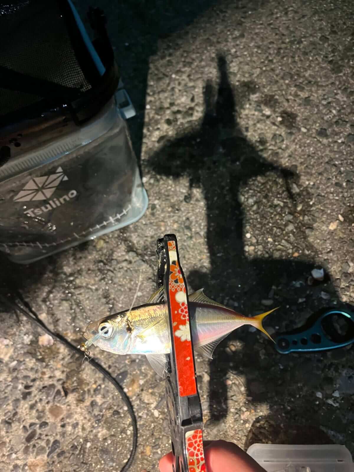 ｜手軽にフラっと行けて、奥深い。食べても美味しいアジングの魅力とは？ 使用タックルも解説。