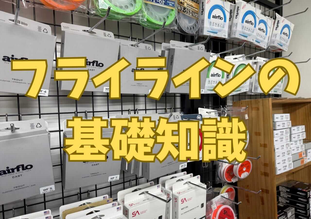 ｜フライフィッシングのラインってなぜあんなに太いの？【フライフィッシングの教科書/05】