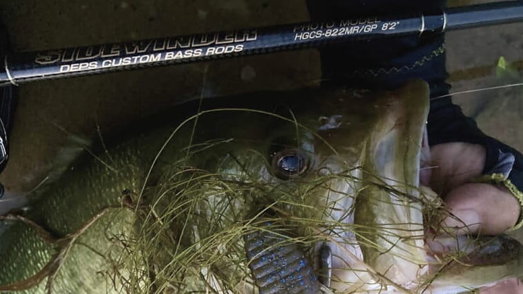 【出た⁉出てない⁉】もう買えた⁉ デプスの最新ロッド6機種