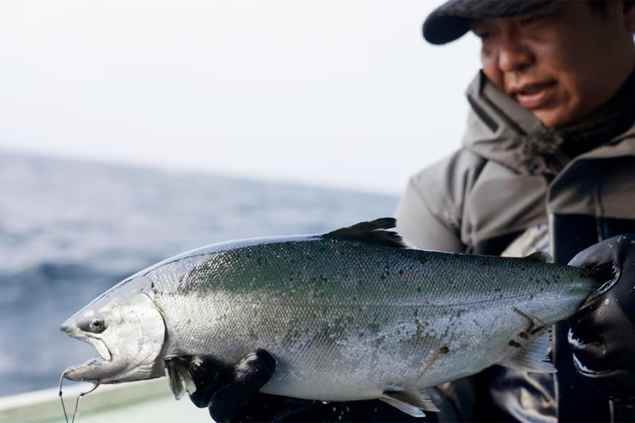 |これがシマノのサクラマス特化ジグ。リアクションバイトを誘発するフォール性能に、厳選した専用カラーを採用した『サクラスペシャル』が登場。