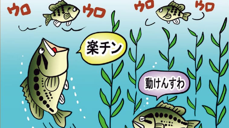 これからがチャンス!琵琶湖でスーパービッグが「ビッグベイト」で釣れる！その考え方と使い方