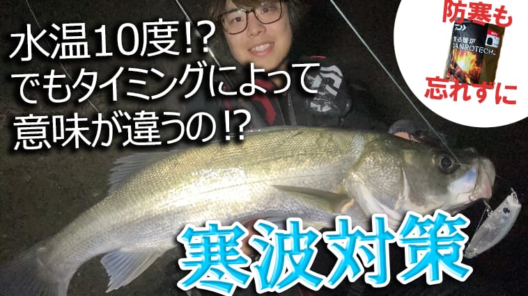 水温は安定か?下がった直後か?真冬のシーバス釣りで大切な2つの考え方【おススメルアー&防寒も紹介!】