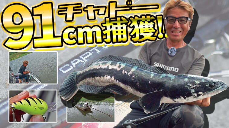 【黒き宝石】自己記録更新なるか⁉奥田学がパックロッドで怪魚に挑む!!【相棒ロッドキャプチャーが大活躍！】