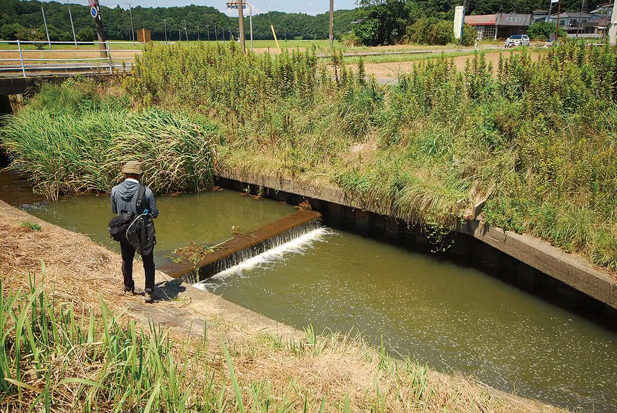 |【青木大介VS梶原智寛DAY1】師弟対決!トップトーナメンター同士が灼熱の北浦で激突!!【釣果推移で追う陸王WEBスペシャル】