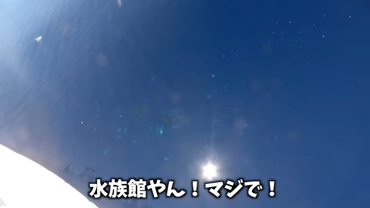 |「サメが追ってる!」数万匹レベルの魚の群れに遭遇。釣れた魚が『頭だけ』になる事件発生…。「犯人はコイツです」