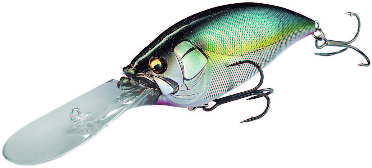 ｜デカい魚を釣るためには「釣れない」を受け入れる必要がある⁉ハードルアーでビッグフィッシュを狙うための心得とは