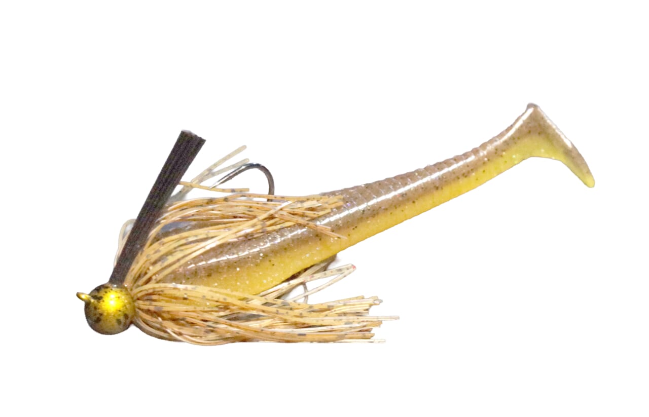 ｜【Dゾーン”フライ”がヤバい！】真冬に敢えて風下で釣る→クオリティフィッシュが釣れる⁉