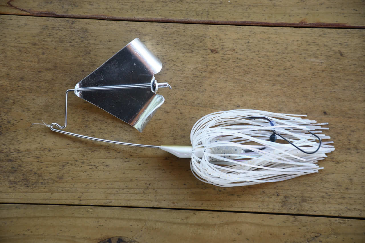 ｜目指すは川村光大郎超え!!ボトムアップの若きエースが府中湖で5本6610gを目指す!!