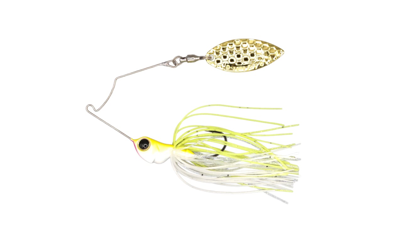 |【Dゾーン”フライ”がヤバい!】真冬に敢えて風下で釣る→クオリティフィッシュが釣れる⁉