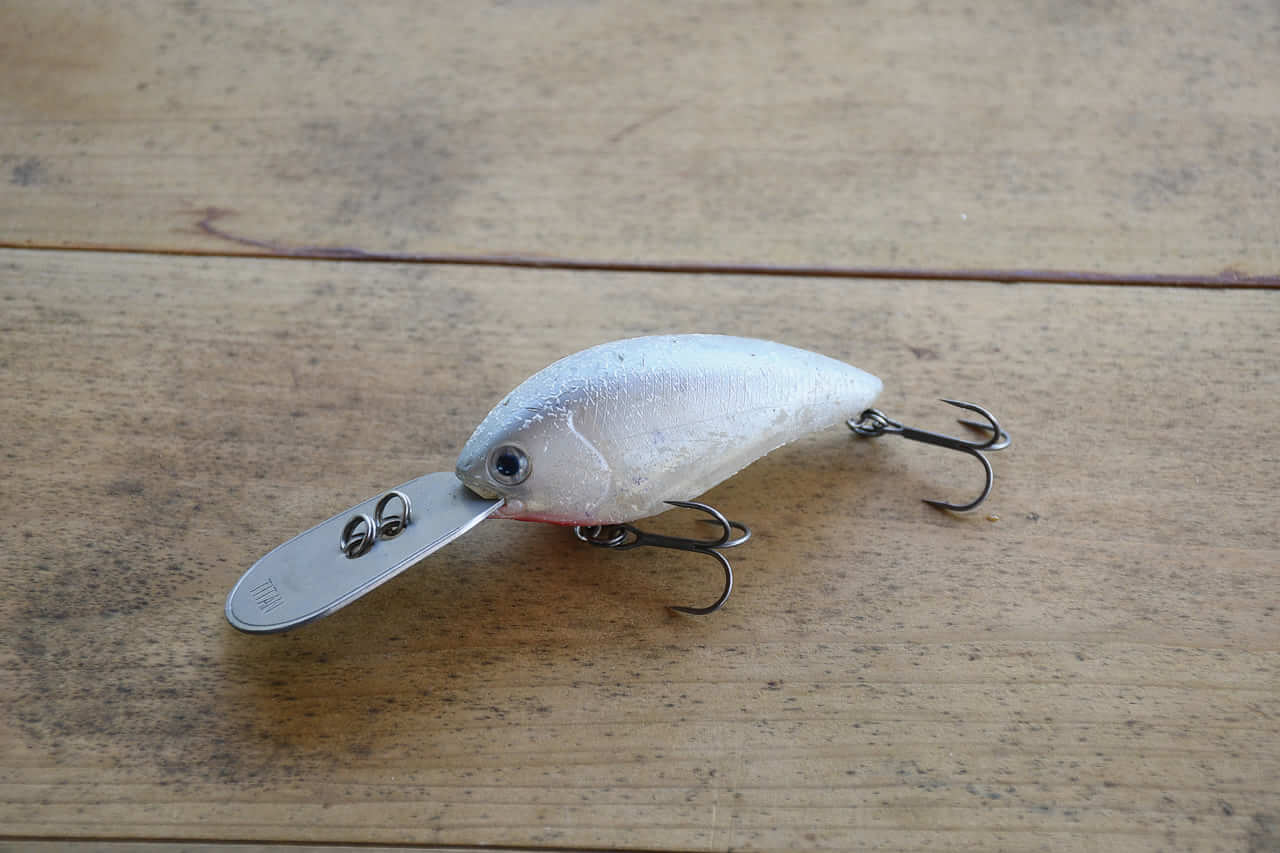 ｜目指すは川村光大郎超え!!ボトムアップの若きエースが府中湖で5本6610gを目指す!!