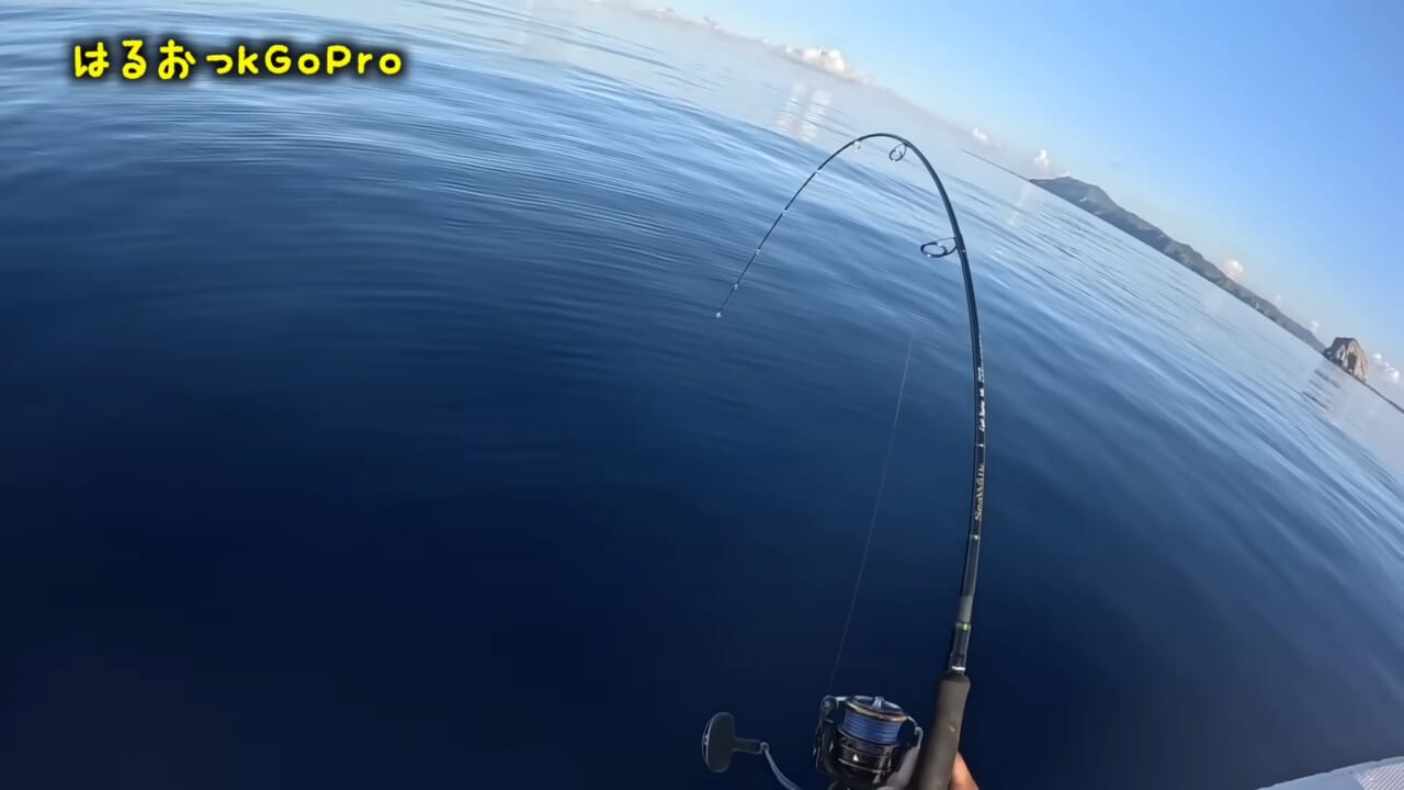 |「サメが追ってる!」数万匹レベルの魚の群れに遭遇。釣れた魚が『頭だけ』になる事件発生…。「犯人はコイツです」