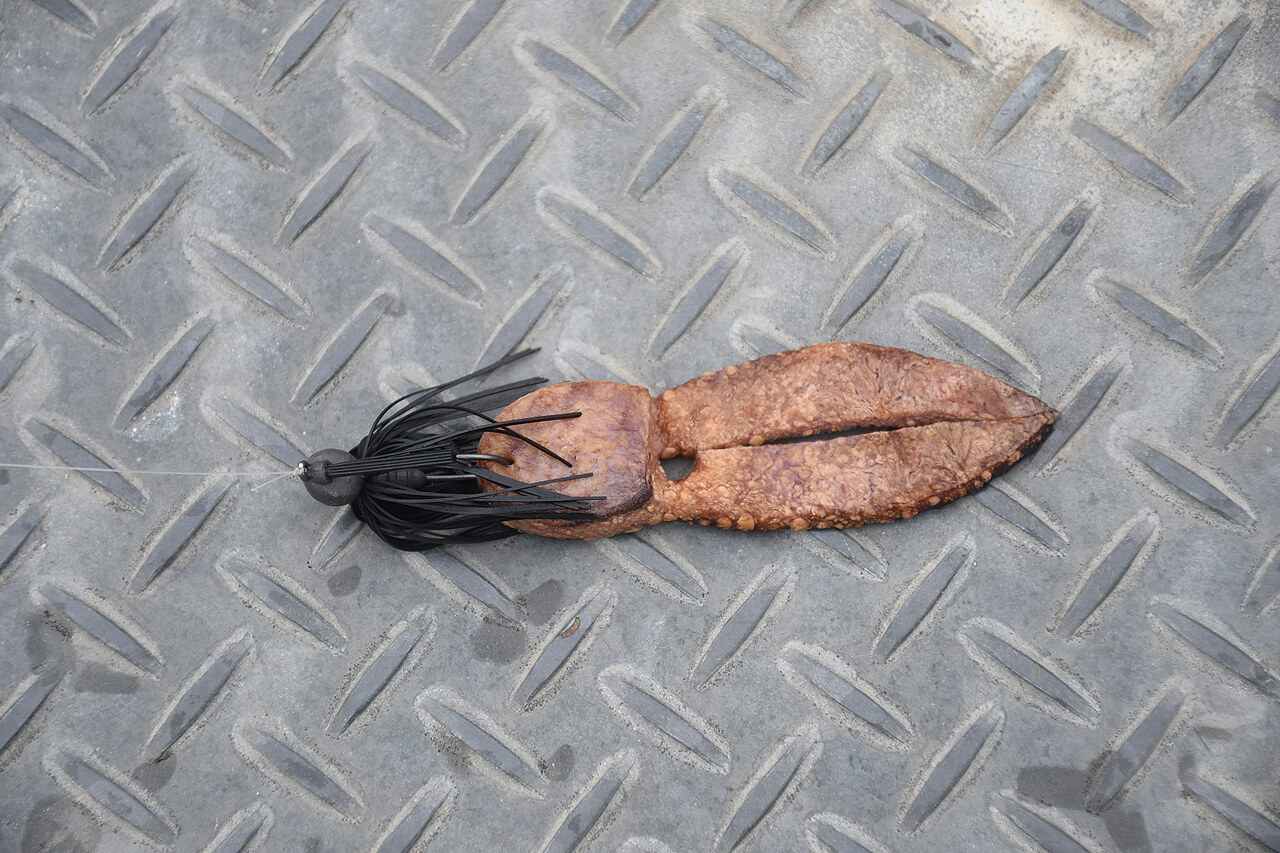 ｜亀山ダムで56cmのバスを釣れ！鬼畜すぎるお題にOVER31リアルトーナメント2025亀山戦優勝が挑む！