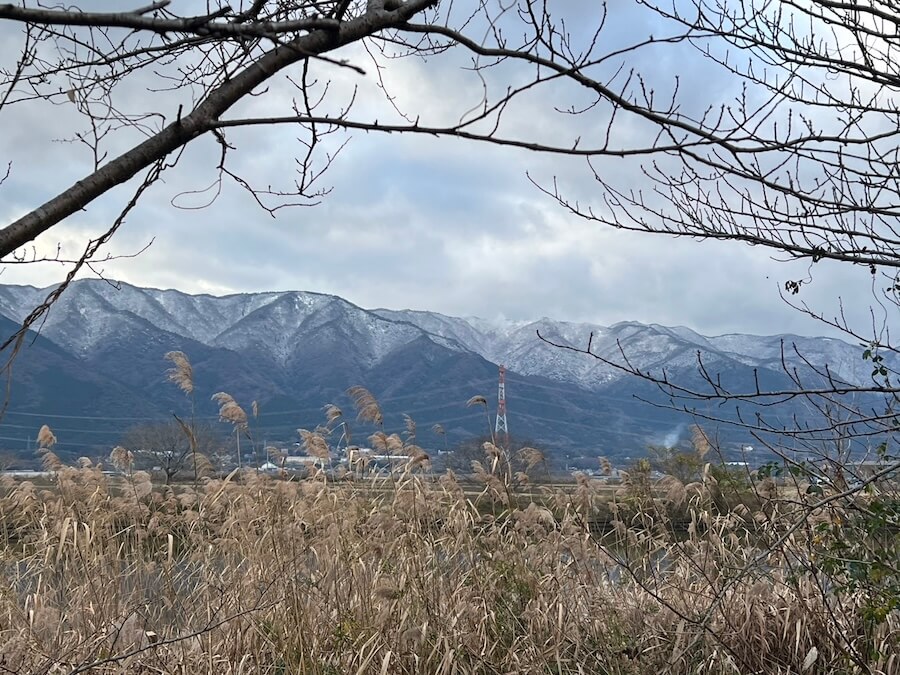 |ヤブで釣りをしていたらタヌキに間違われ…。泥臭く戦って狙い通りの1本で上位入賞!【鈴木翔の”SHOWUP!!”】