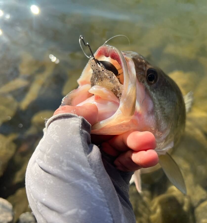 |ヤブで釣りをしていたらタヌキに間違われ…。泥臭く戦って狙い通りの1本で上位入賞!【鈴木翔の”SHOWUP!!”】