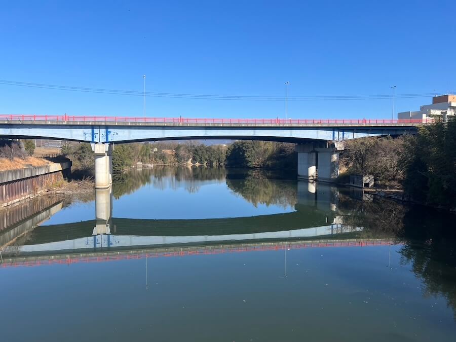 |ヤブで釣りをしていたらタヌキに間違われ…。泥臭く戦って狙い通りの1本で上位入賞!【鈴木翔の”SHOWUP!!”】