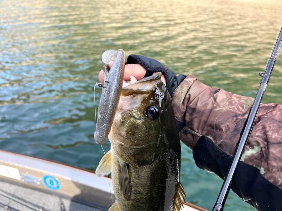 ｜釣り納めも釣り始めも絶好調！元旦に30分で40アップ連発したパターンとは？【鈴木翔のIT’S SHO TIME !!!】