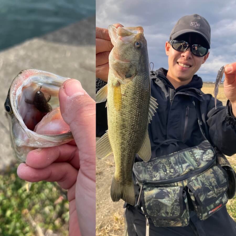 ｜釣り納めも釣り始めも絶好調！元旦に30分で40アップ連発したパターンとは？【鈴木翔のIT’S SHO TIME !!!】