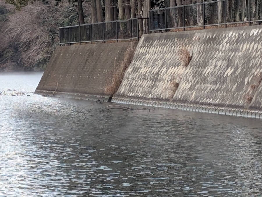 ｜「マックス減水時からが冬本番」浚渫で濁りが入ればチャンス大！水位が大事な冬のリザーバー攻略