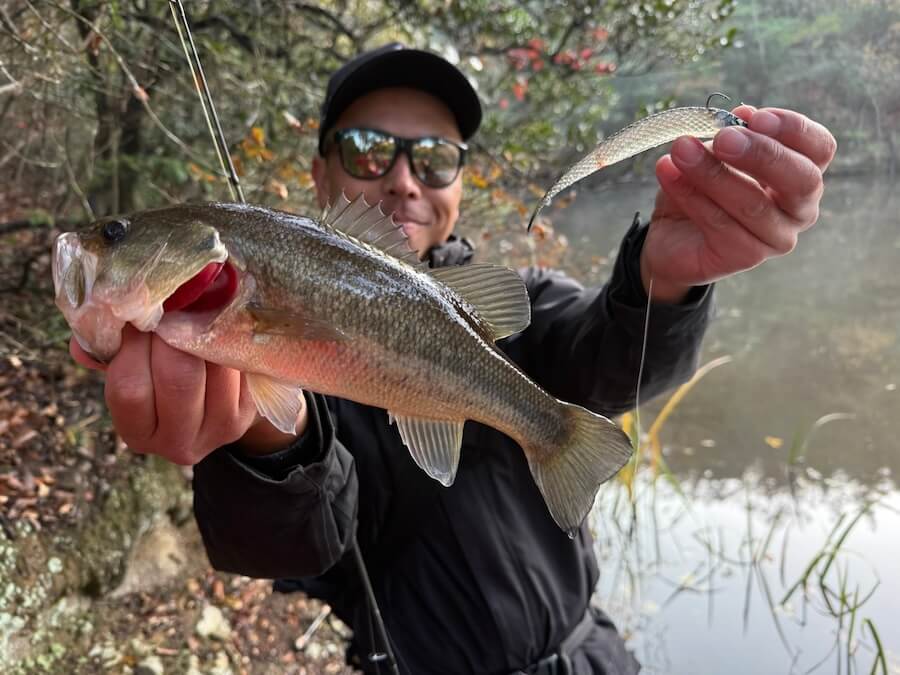 ｜ふゆでガブガブ食ってくるヤバい釣り。全国で流行中のデカホバストの詳しいセッティングを伝授！