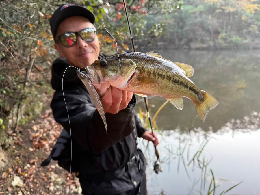 |ふゆでガブガブ食ってくるヤバい釣り。全国で流行中のデカホバストの詳しいセッティングを伝授!