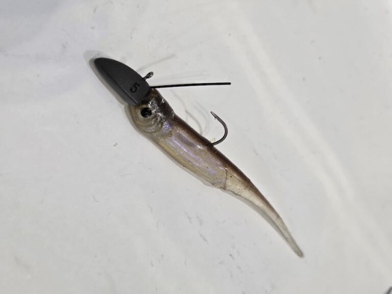 マイラーミノーのワンド釣法。｜「とにかく減水がやばい」「この光景は初めて」減水が止まらない河口湖だが、相模湖はどうなのか？「ハイシーズン突入です」