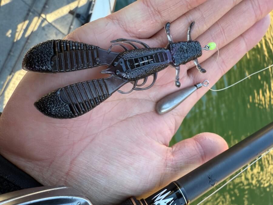 |「バイトが止まらずガブガブ状態」冬爆の二桁釣果!シンカーの重さを吟味することが、水中をしっかりイメージできる秘訣!