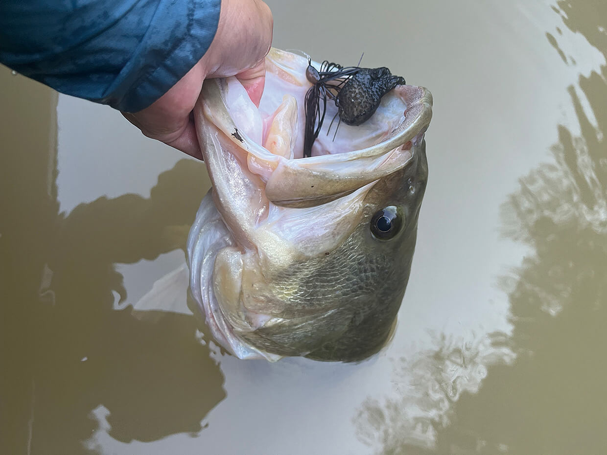 ｜亀山ダムで56cmのバスを釣れ！鬼畜すぎるお題にOVER31リアルトーナメント2025亀山戦優勝が挑む！