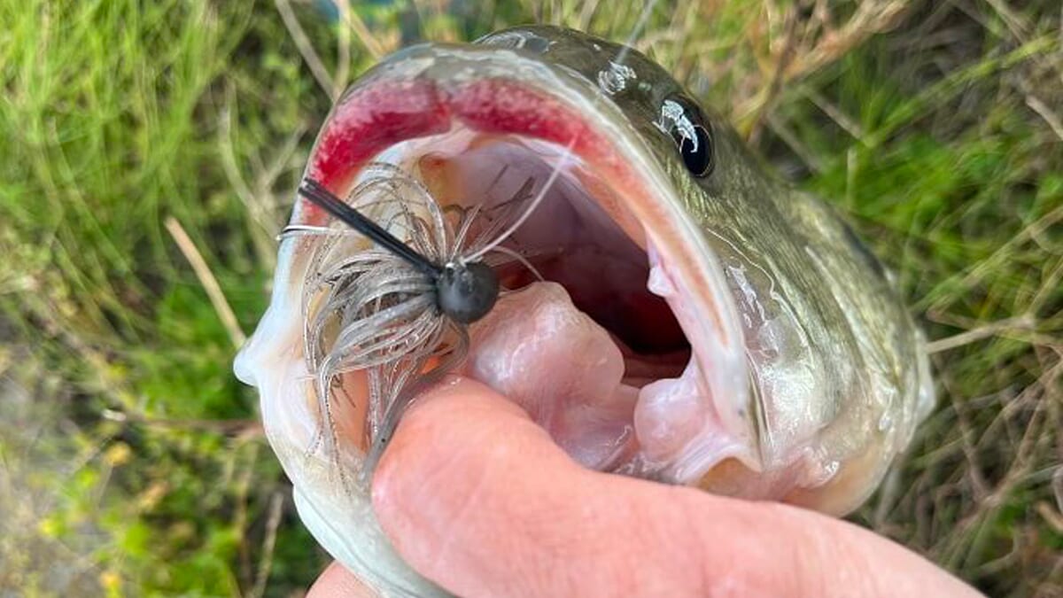 |寒い冬はポイント選びが超重要。とくに河川は潮汐とベイトが絡むとグッドサイズも飛び出します!