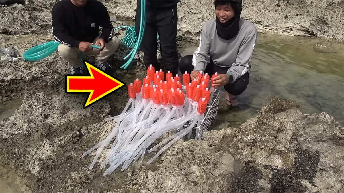 |「この発想はスゴイ」「マジかよ」“海の水を抜く”という驚異の企画。海底からどんな生物が現れるのか…。「コイツだけは捕まえたい」