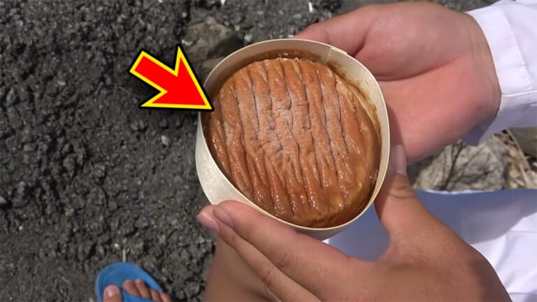 「臭すぎる…」「悶絶級だわ」“世界一臭いチーズ”で釣りをした結果。気になる魚の反応が…。「これは最強のエサかもしれない」