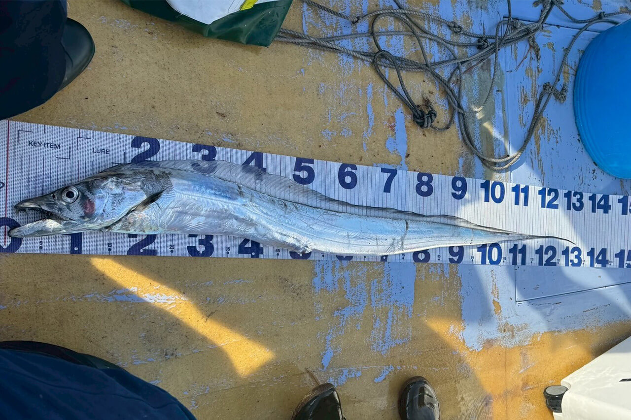 ｜【福島和可菜のLove Fishing】タチウオを釣りに行ったらまさかの『神龍（シェンロン）』降臨！