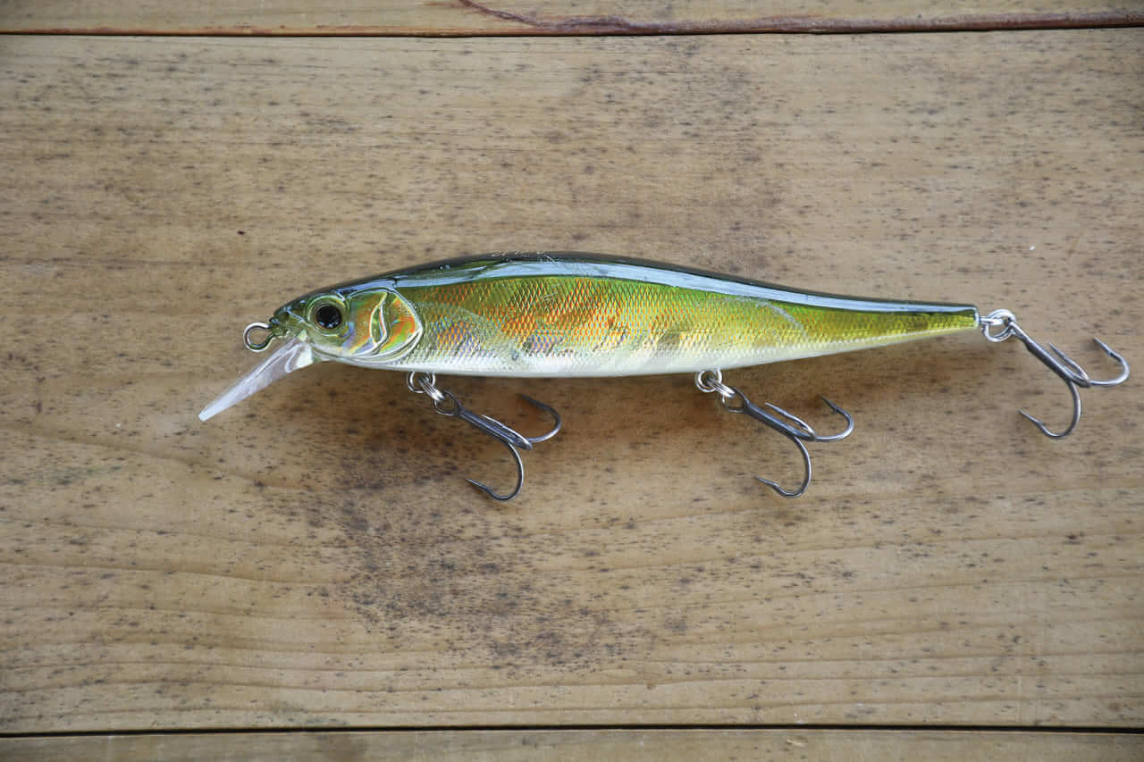 ｜目指すは川村光大郎超え!!ボトムアップの若きエースが府中湖で5本6610gを目指す!!