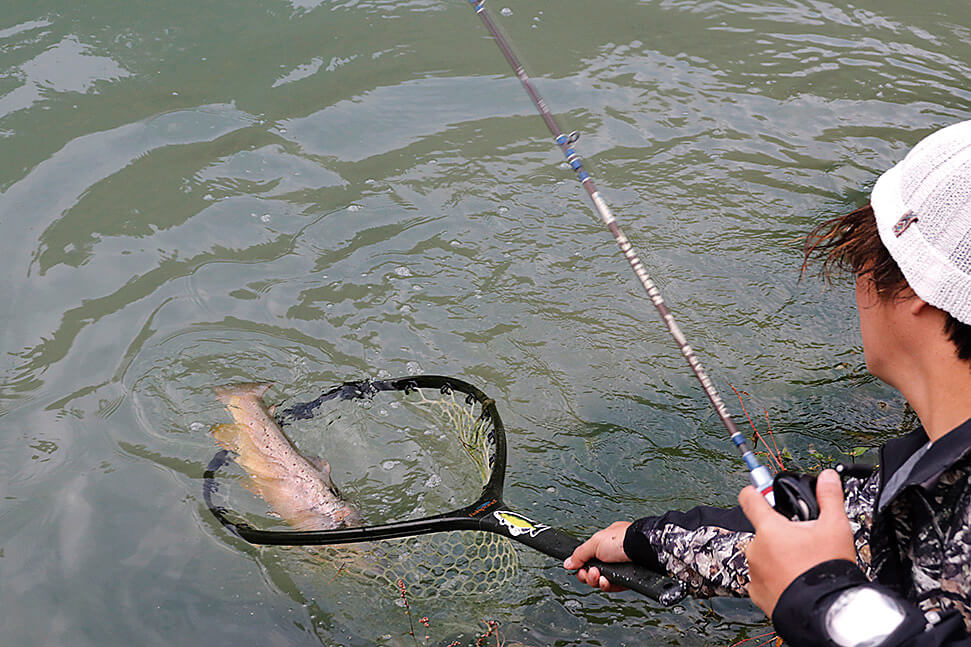 ｜バスアングラーもぜひ挑戦を！ベイトで始めるエリアトラウト