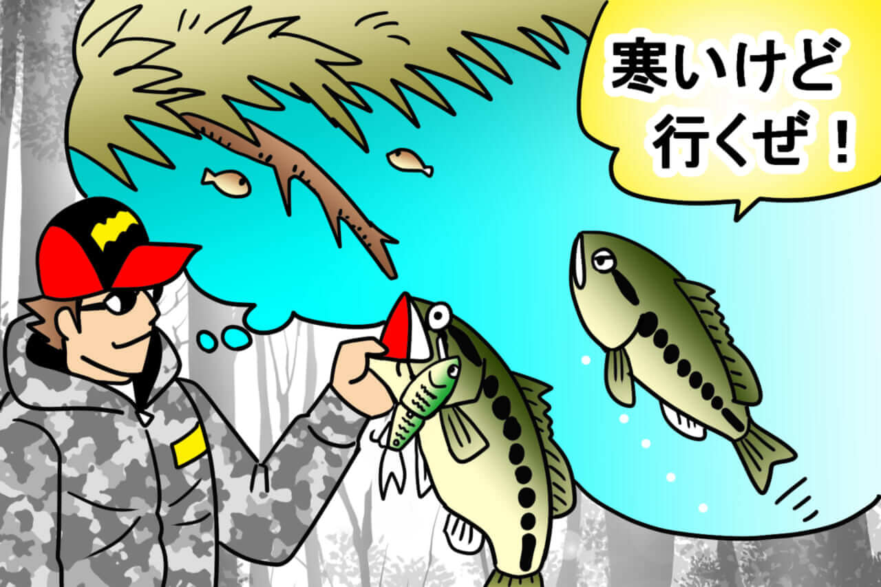 ｜【Dゾーン”フライ”がヤバい！】真冬に敢えて風下で釣る→クオリティフィッシュが釣れる⁉