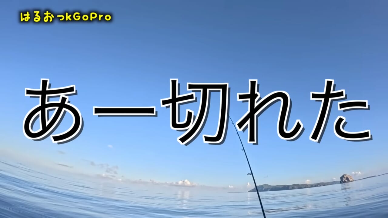 |「サメが追ってる!」数万匹レベルの魚の群れに遭遇。釣れた魚が『頭だけ』になる事件発生…。「犯人はコイツです」